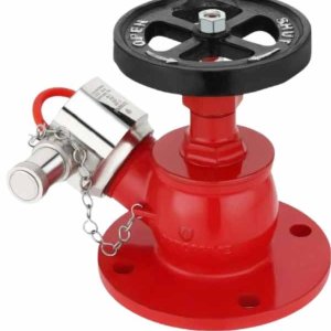 Internal Fire Hydrant Landing Valve (Flanged/Threaded, 2.5")