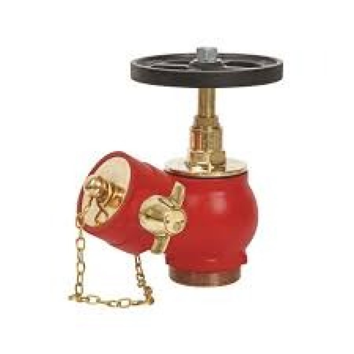 Internal Fire Hydrant Landing Valve (Flanged/Threaded, 2.5")