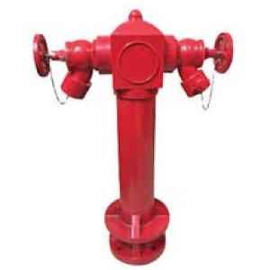 External Pillar Fire Hydrant (Wet-Barrel / Dry-Barrel, Multi-Outlet)