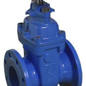 Wedge Gate Valve (Flanged / Threaded, OS&Y vs. NRS)