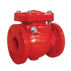 Grooved / Flanged Non-Return Valve (Swing Check Type)