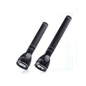Security Torch Light