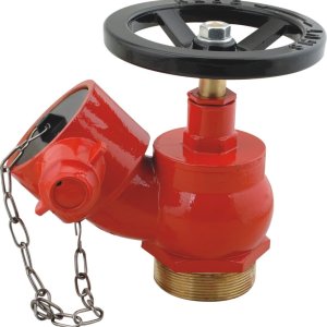 Internal Fire Hydrant Landing Valve (Flanged/Threaded, 2.5")